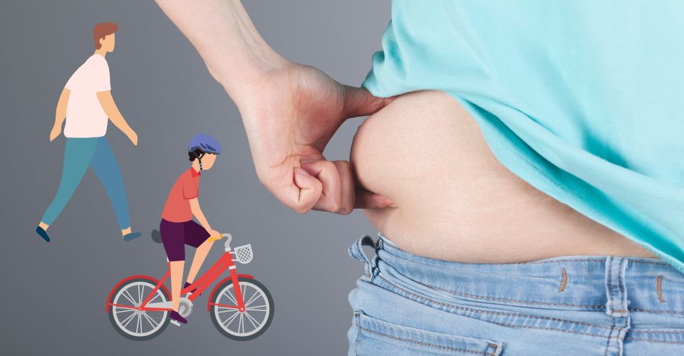 is walking or biking better for belly fat