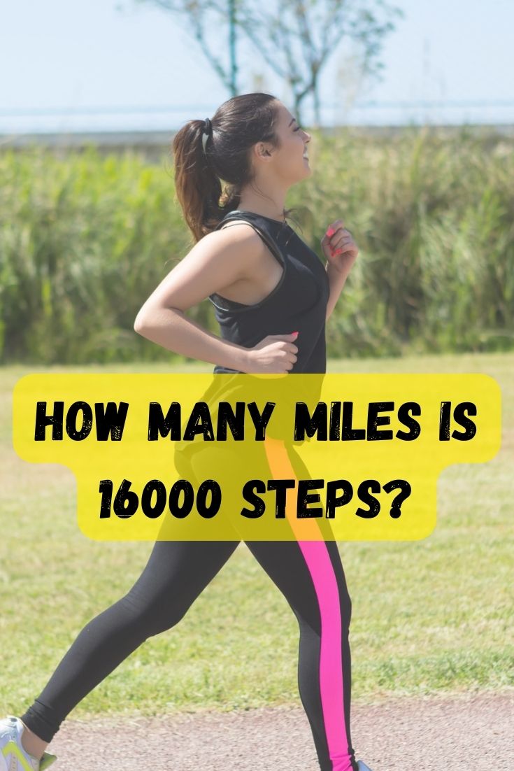 how many miles is 16000 steps