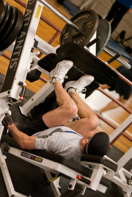 16 Best Circuit Training Workouts for Beginners (Science-Backed & Trainer-Approved)