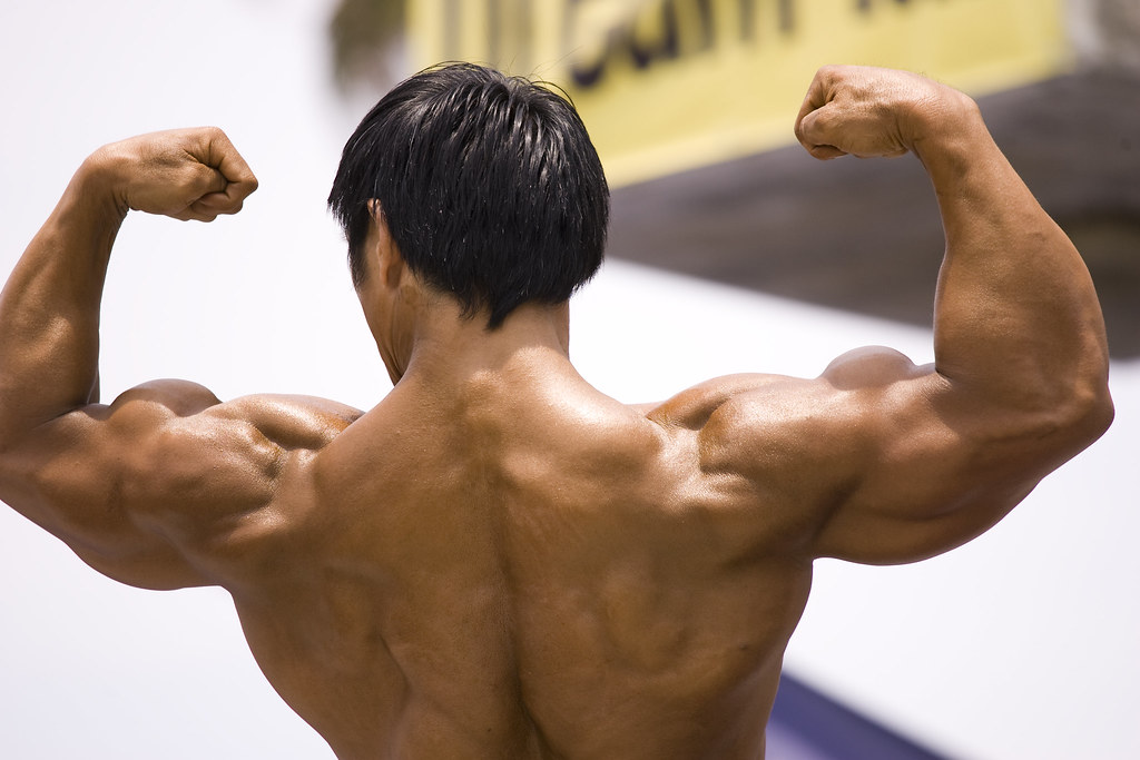 15 Best Bodybuilding Exercises: Science-Based & Expert Approved