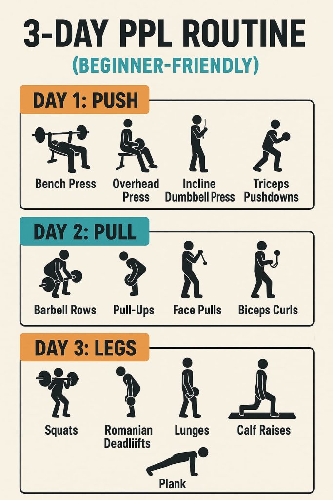 3-Day PPL Routine (Beginner-Friendly)