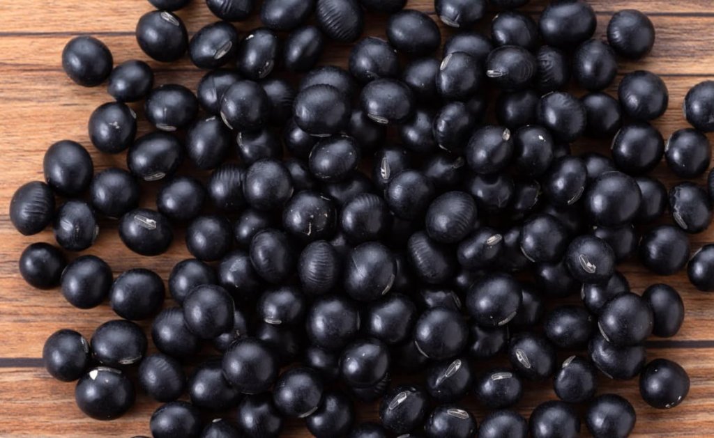 Black Soybeans