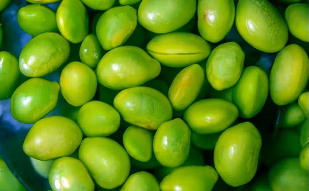 Edamame (Young Soybeans)