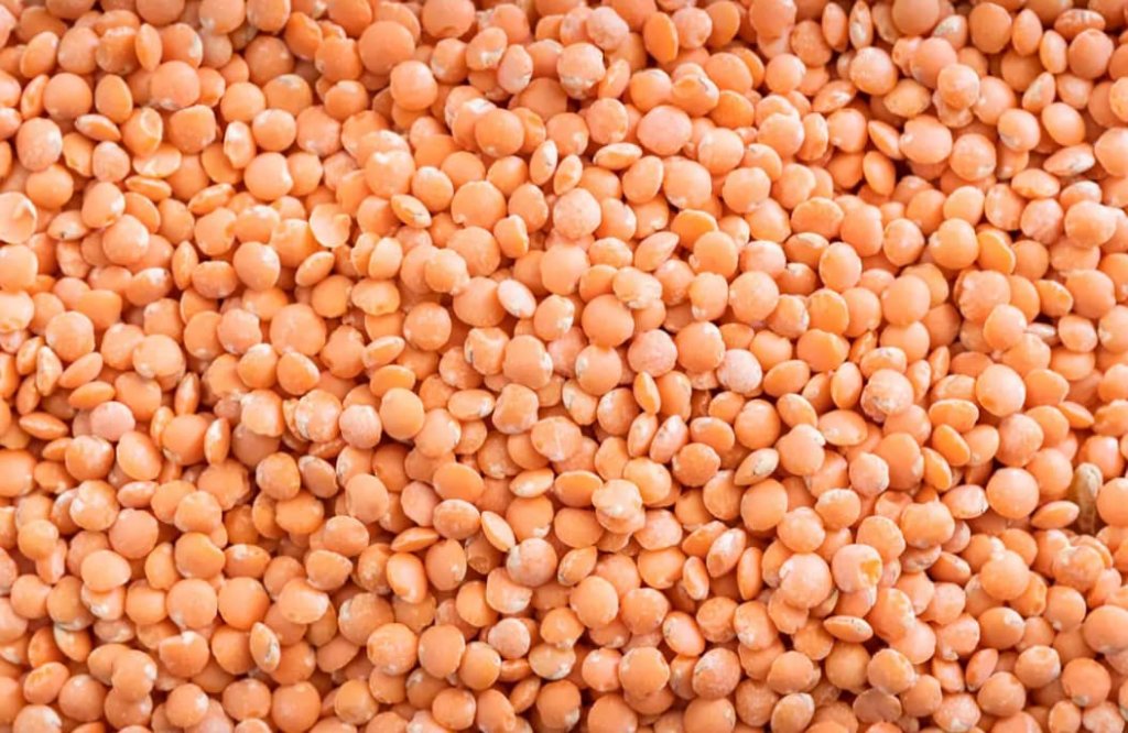 Lentils