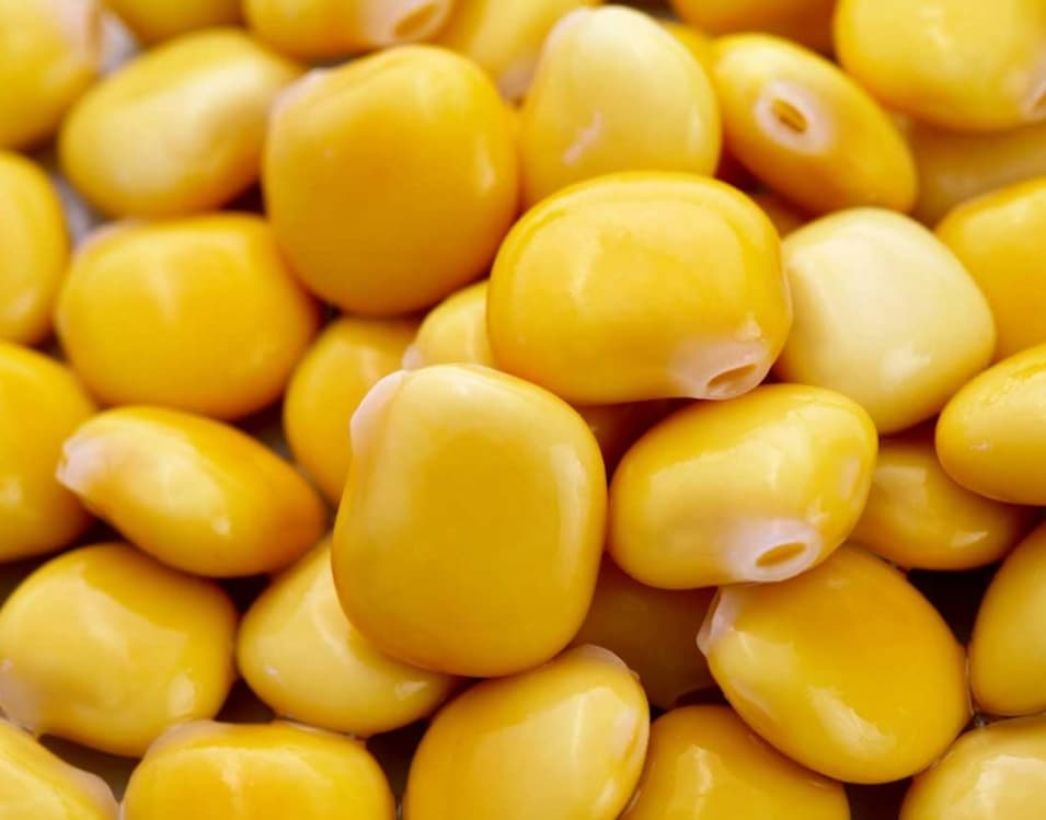 Lupini Beans