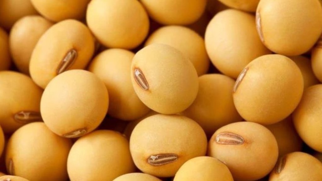 Soybeans (Mature)