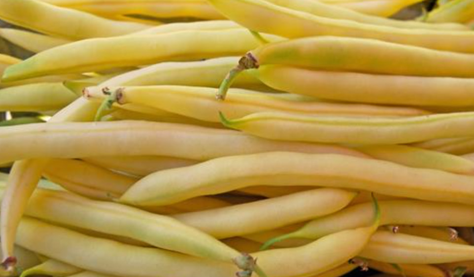 Wax Beans