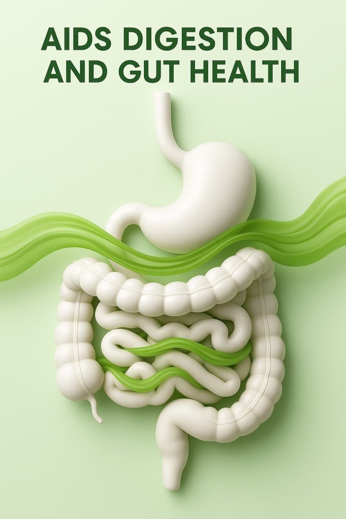 Celery juice Aids Digestion and Gut Health