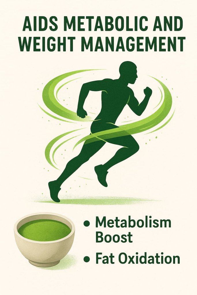 Matcha Aids Metabolic and Weight Management