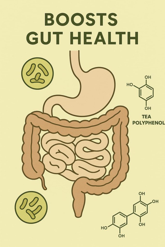 Black Tea Boosts Gut Health