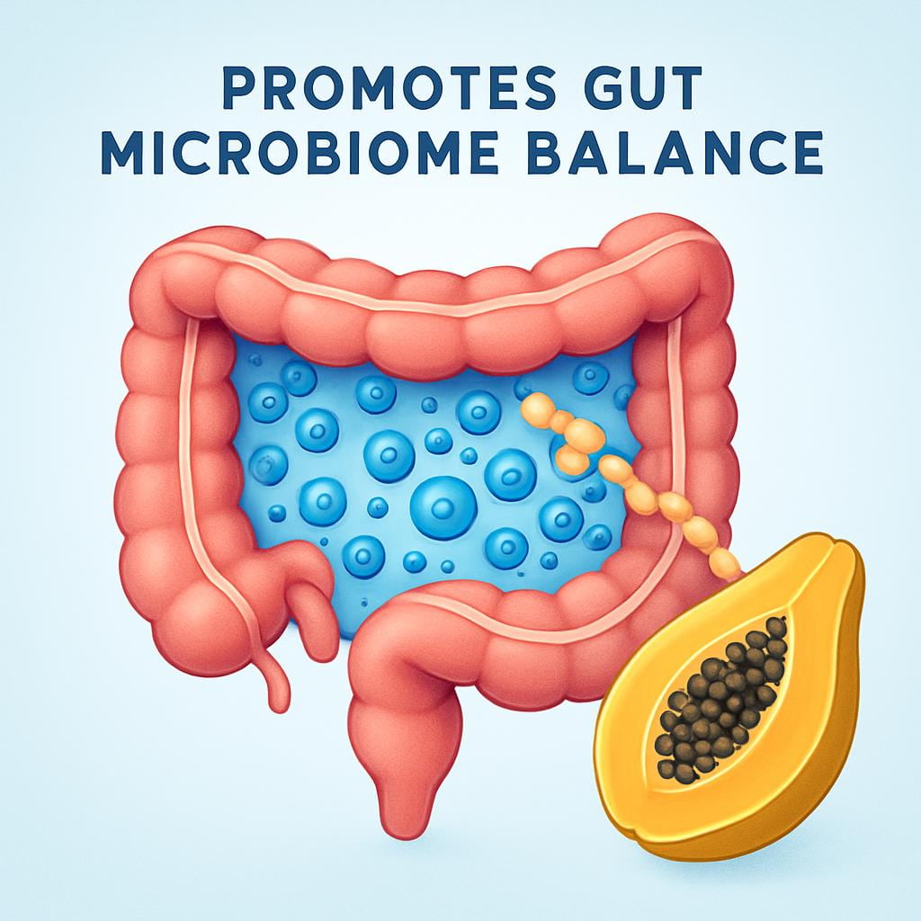 Papaya Promotes Gut Microbiome Balance