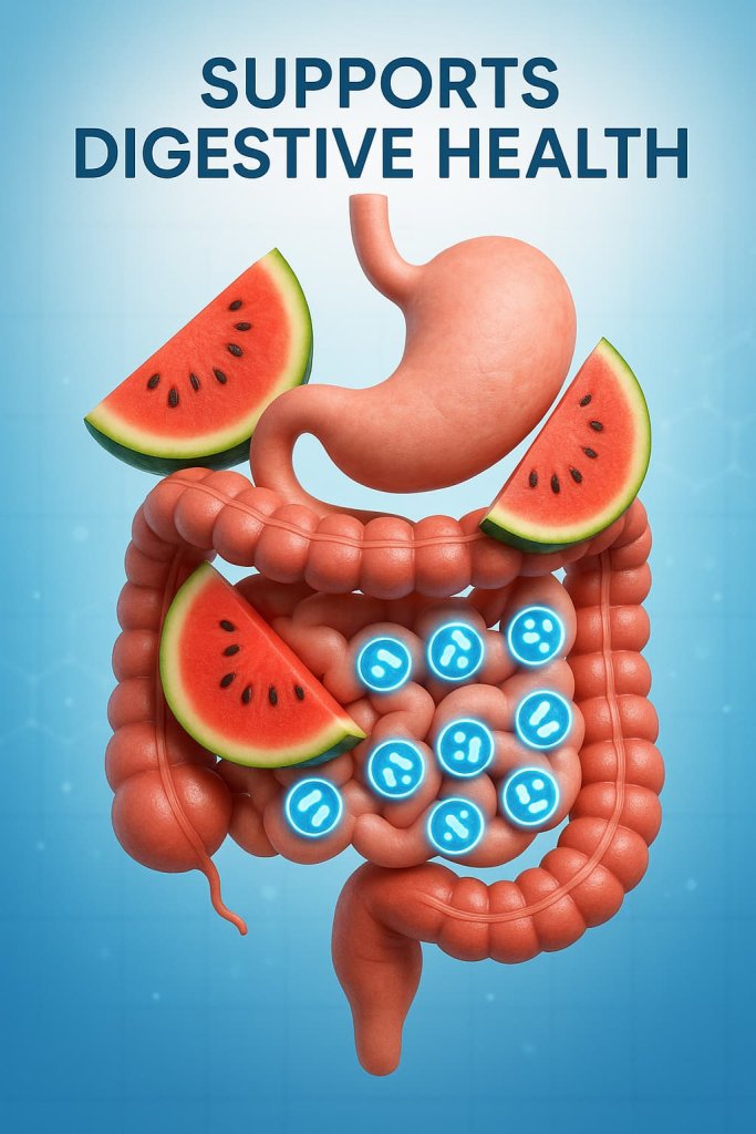 Watermelon Supports Digestive Health