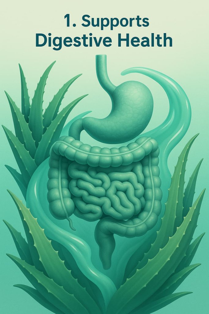 Supports Digestive Health