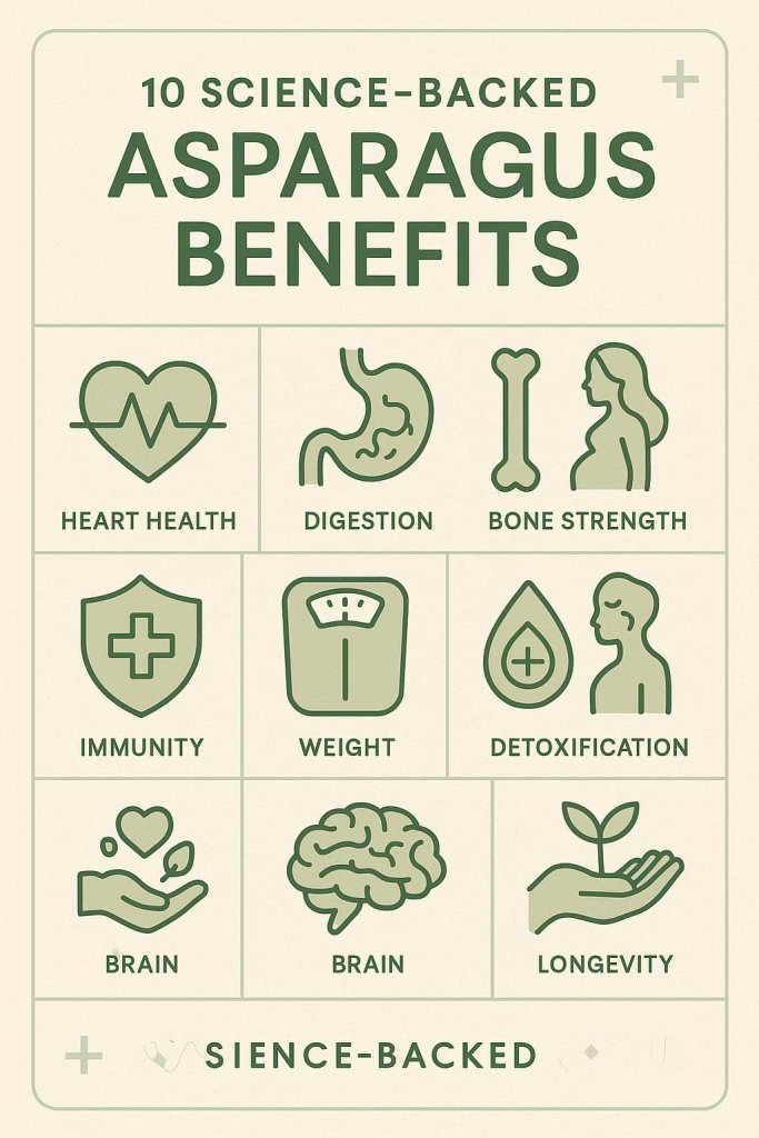 Benefits of Asparagus