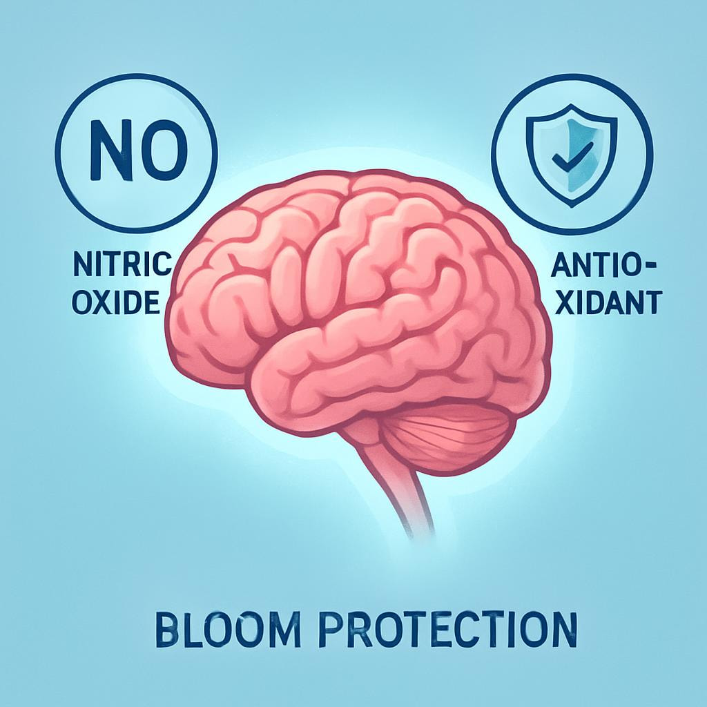 Arugula May Support Cognitive Function and Healthy Aging