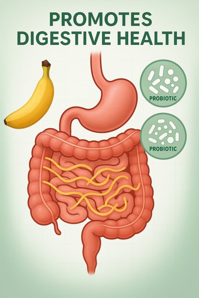Bananas Promotes Digestive Health