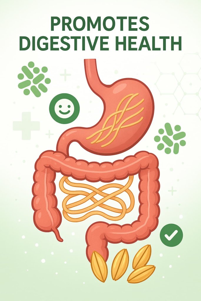 Barley Promotes Digestive Health