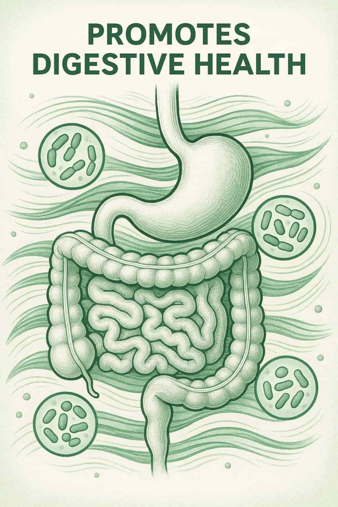 Brown Rice Promotes Digestive Health