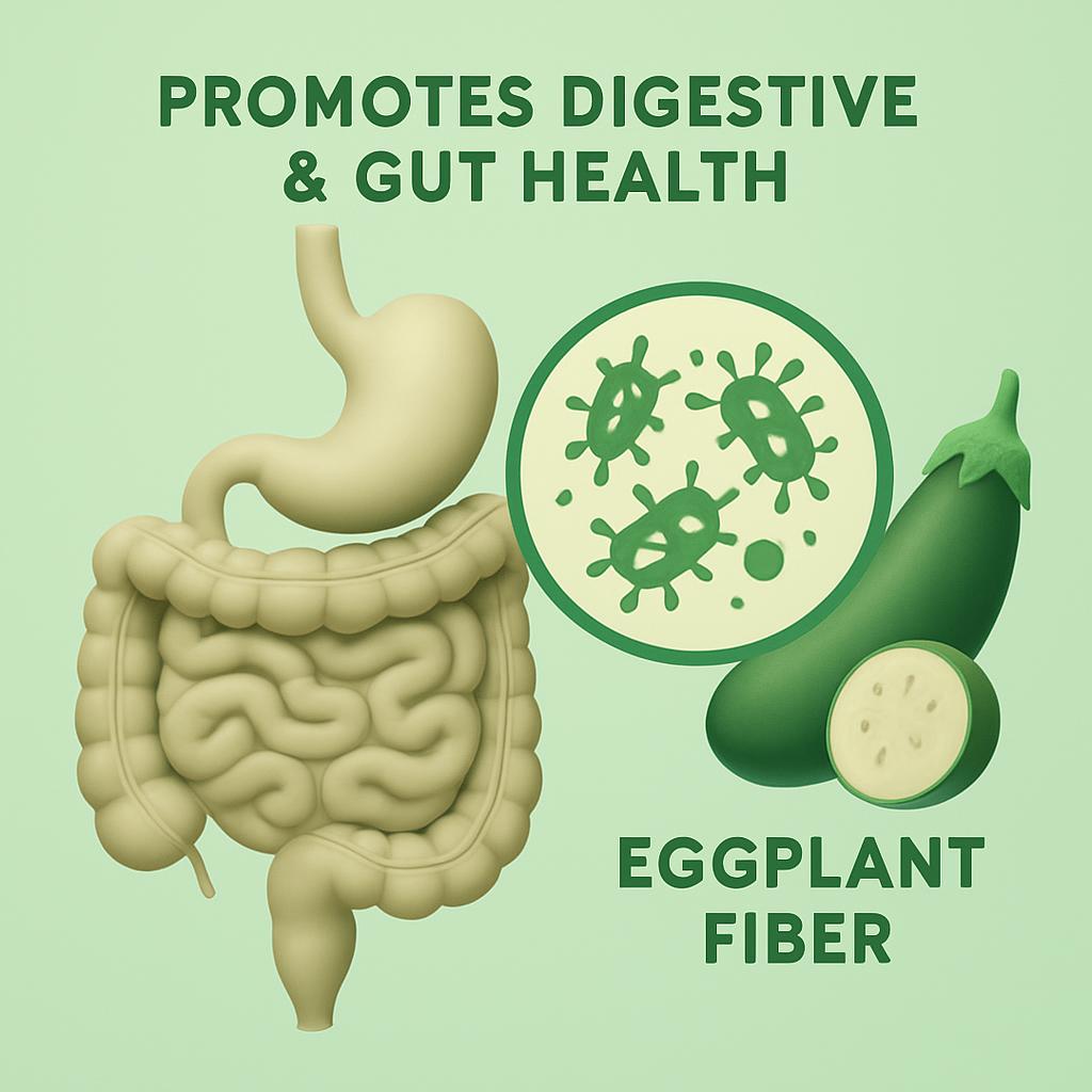 Eggplant Promotes Digestive and Gut Health