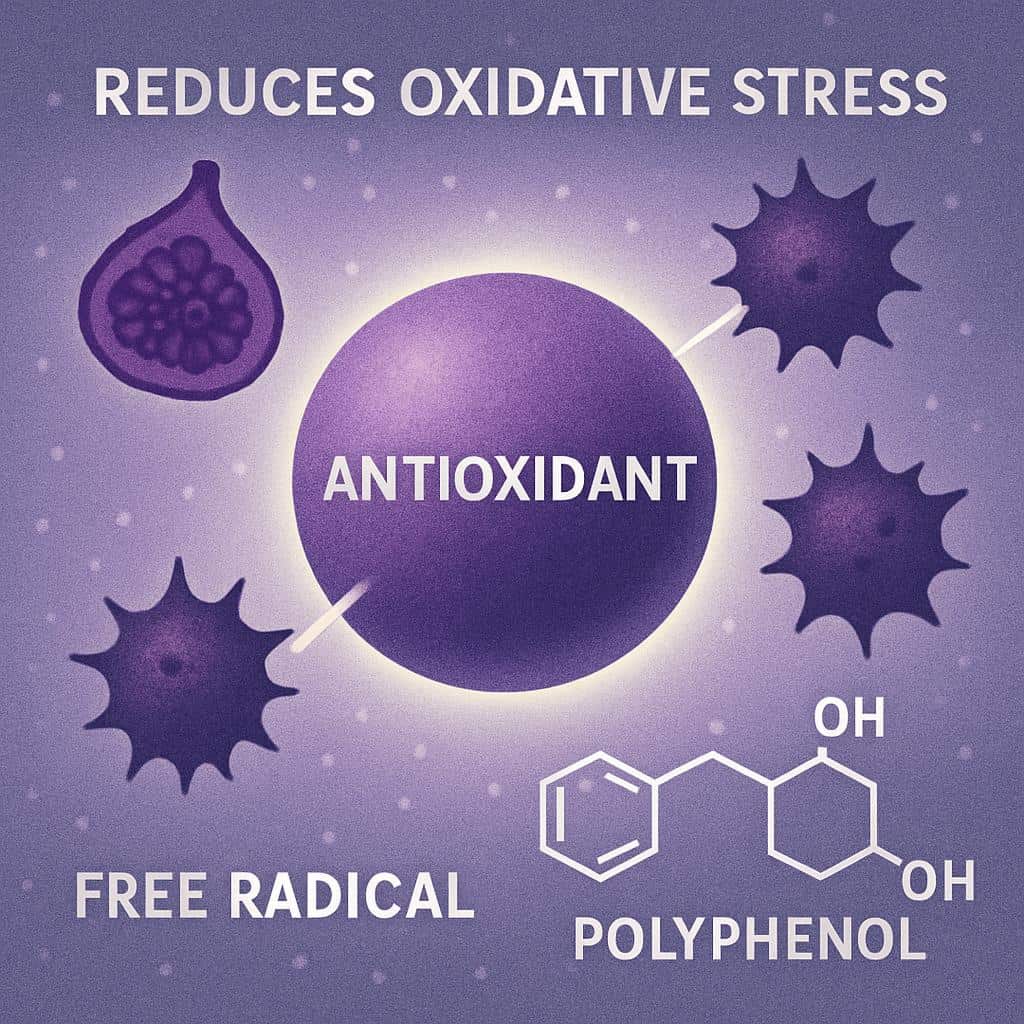 Figs Provides Antioxidants and Reduces Oxidative Stress