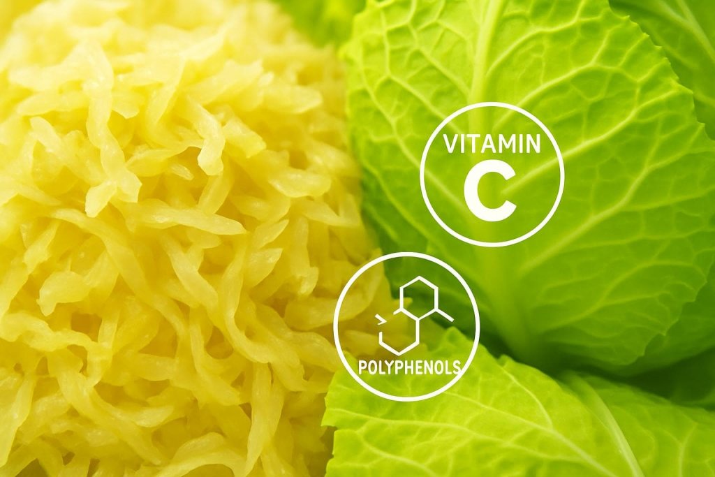 Sauerkraut  Rich in Antioxidants