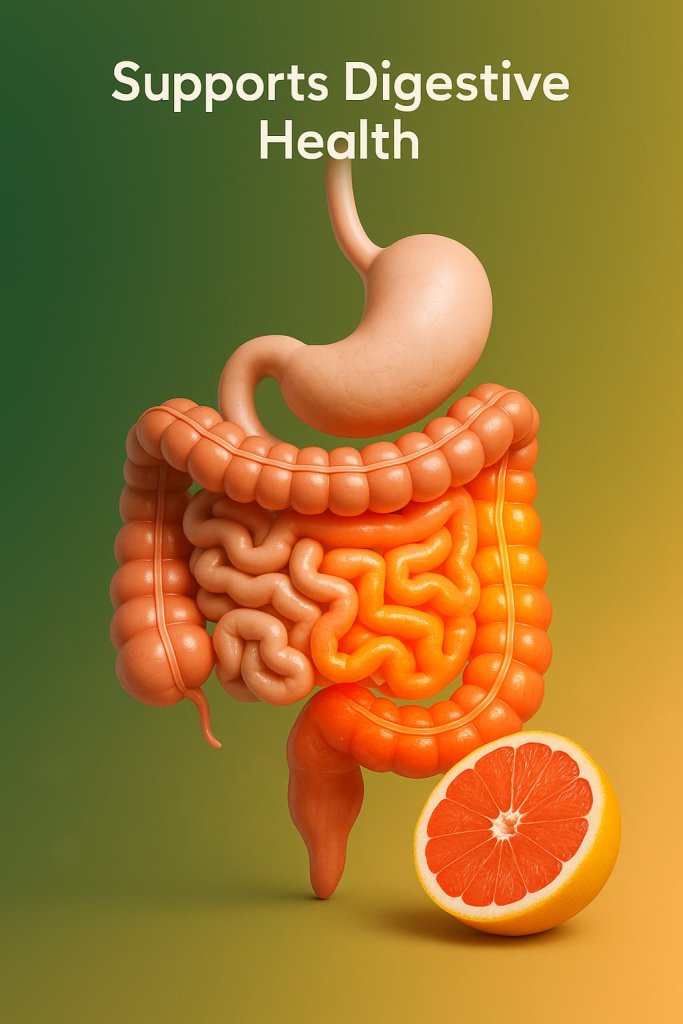 Grapefruit Supports Digestive Health