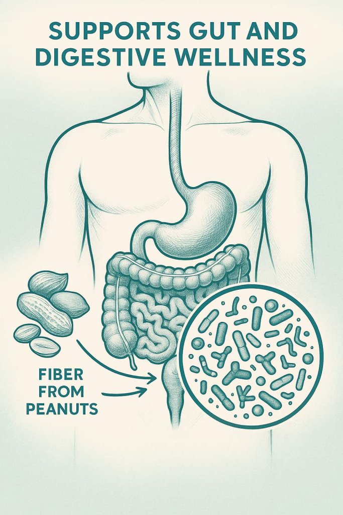 Peanut Butter Supports Gut and Digestive Wellness
