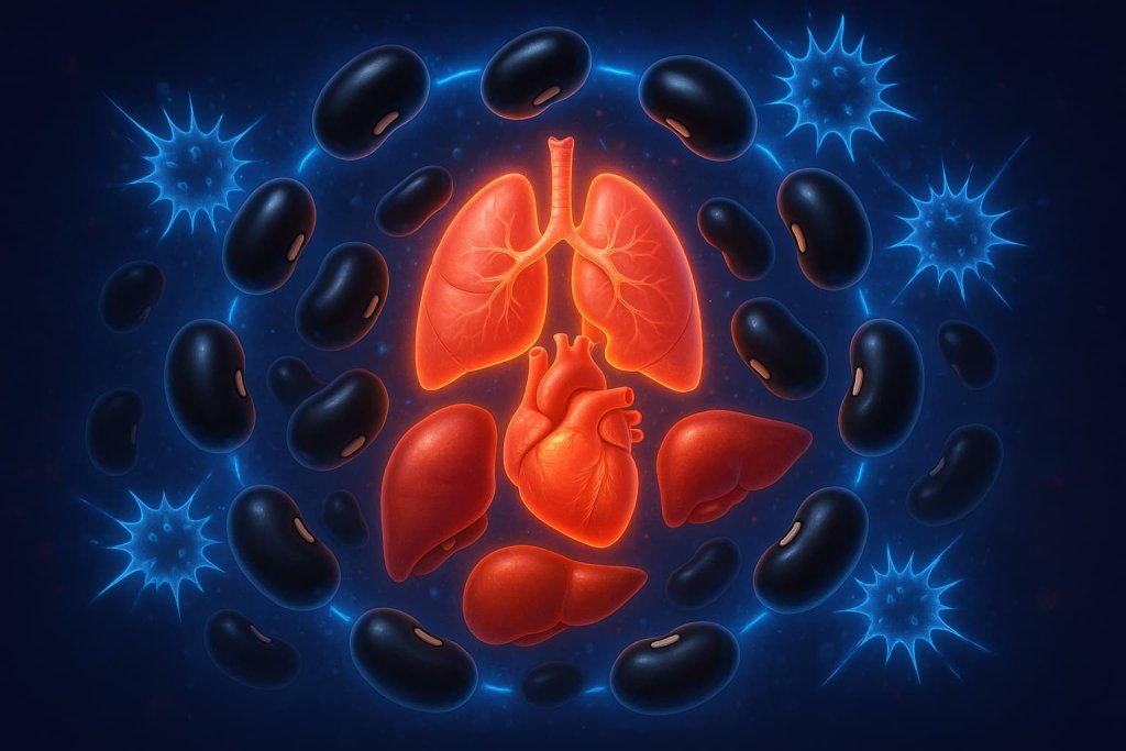 10. May Help Prevent Chronic Diseases