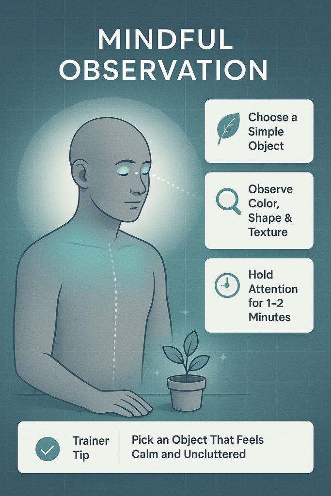 Mindful Observation