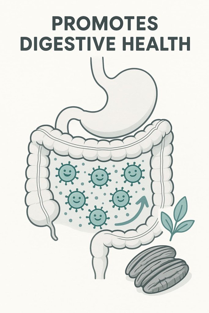 Pecans Promotes Digestive Health