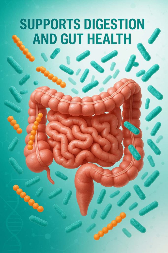 Oranges Supports Digestion and Gut Health