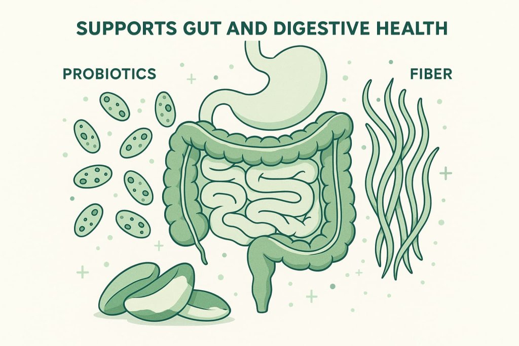 Brazil Nuts - Supports Gut and Digestive Health