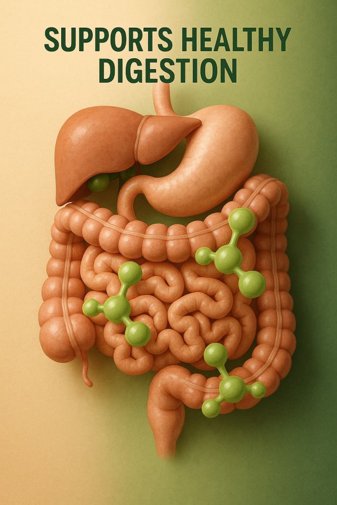 Fennel Seeds - Supports Healthy Digestion