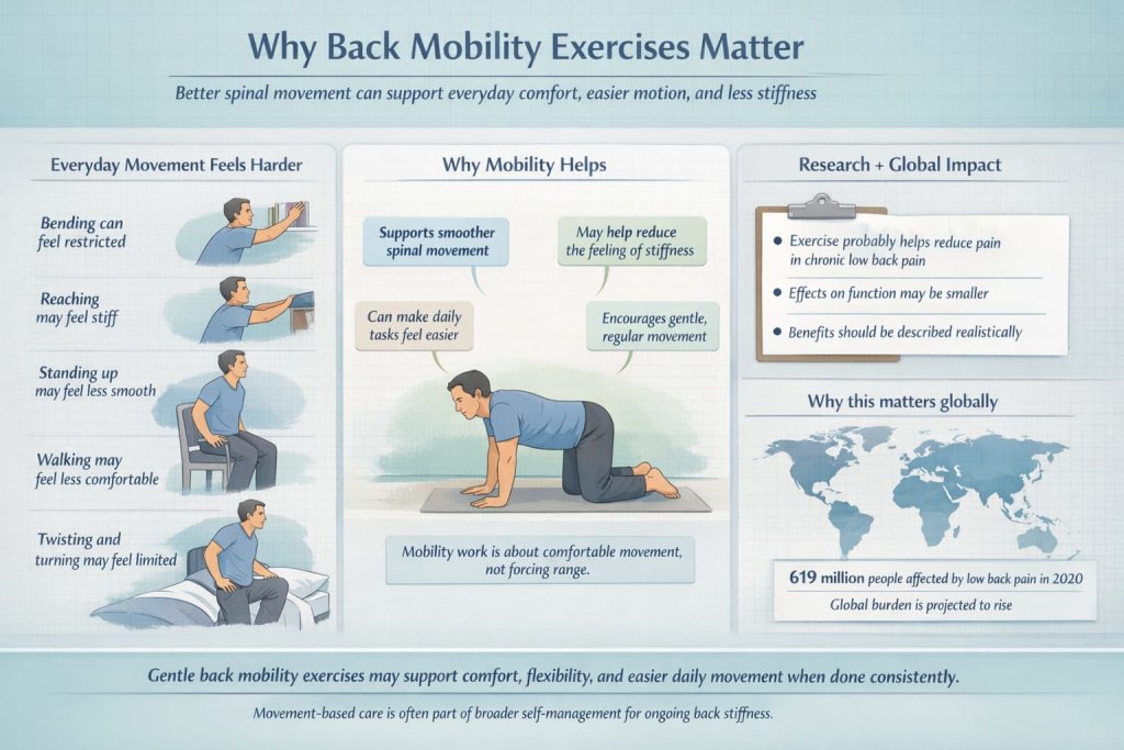 Why back mobility exercises matter