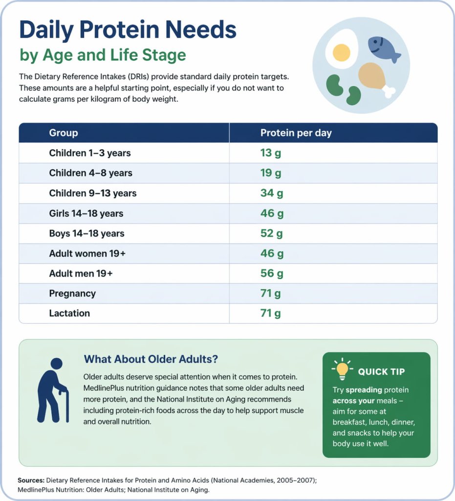 Daily Protein Needs by Age and Life Stage