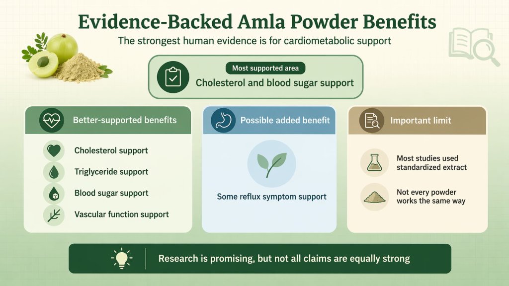 Evidence-Backed Amla Powder Benefits