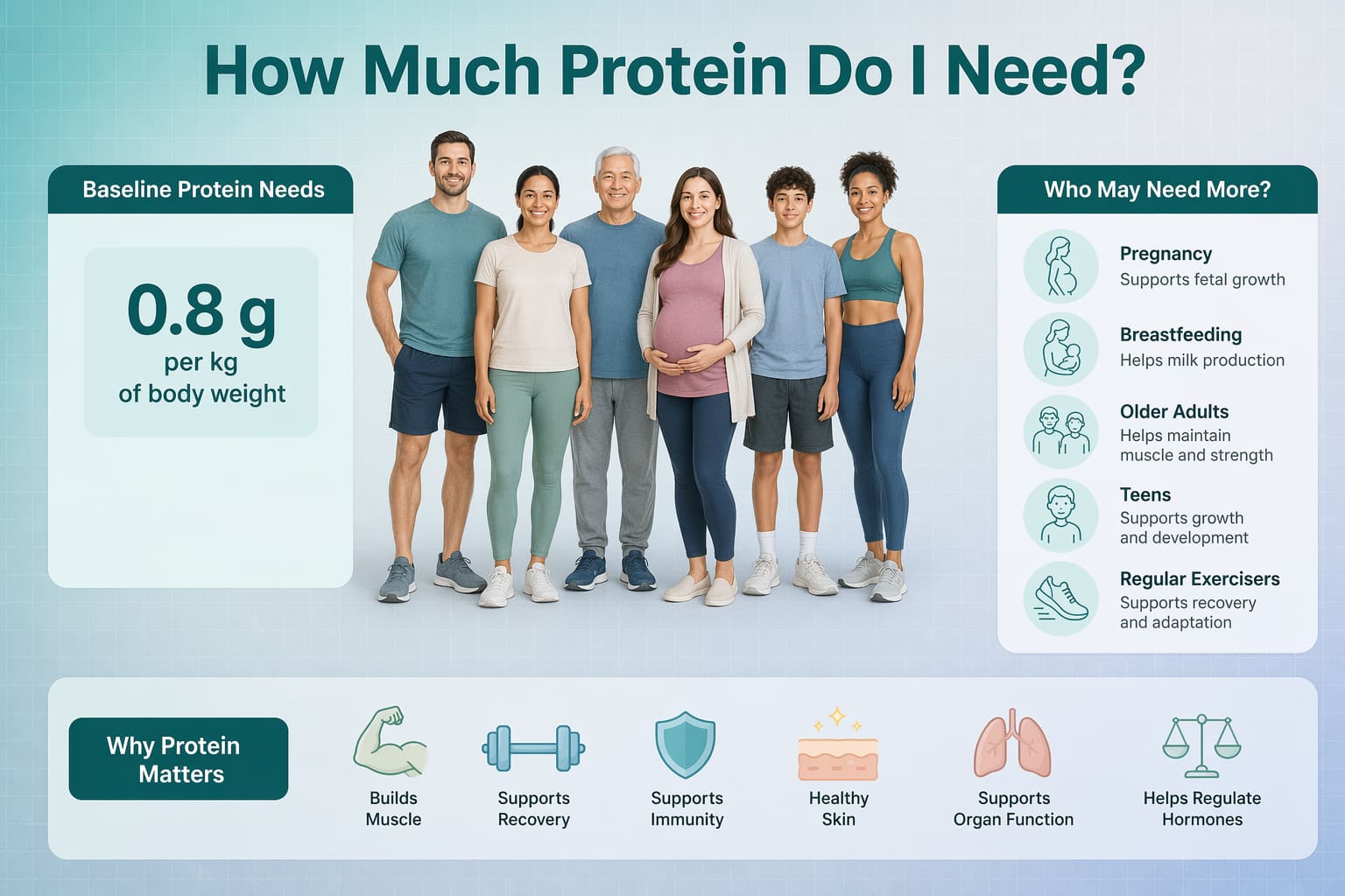 How Much Protein Do I Need? Daily Intake by Age and Activity