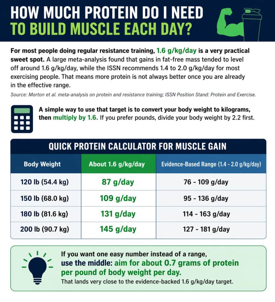 How Much Protein Do I Need to Build Muscle Each Day?