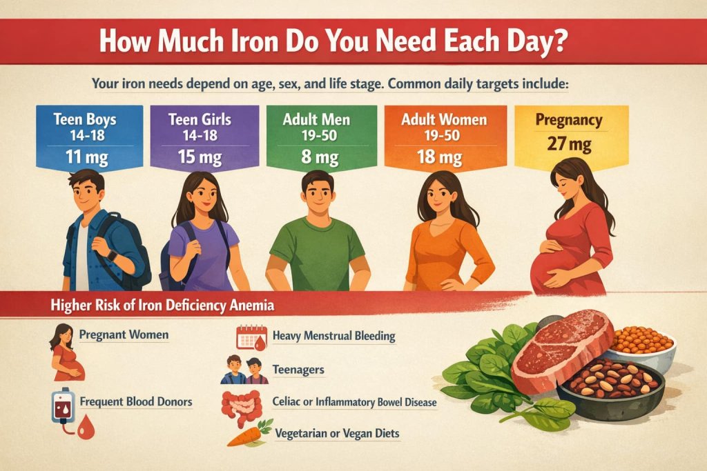 How much iron do you need each day?