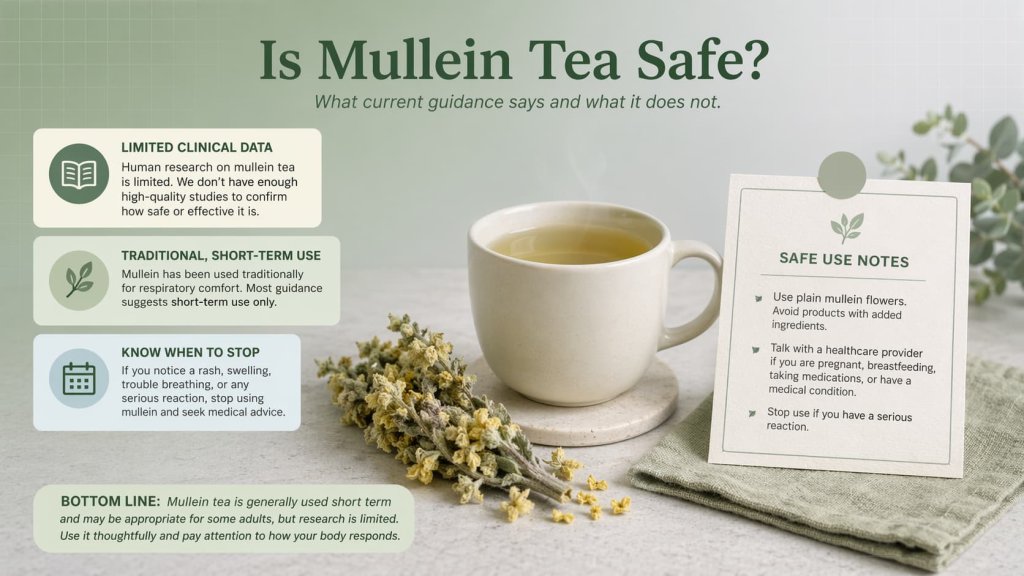 Is Mullein Tea Safe?