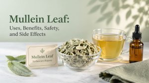 Mullein Leaf: Uses, Benefits, Safety, and Side Effects