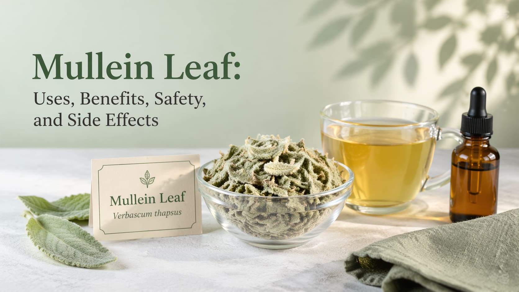 Mullein Leaf: Uses, Benefits, Safety, and Side Effects
