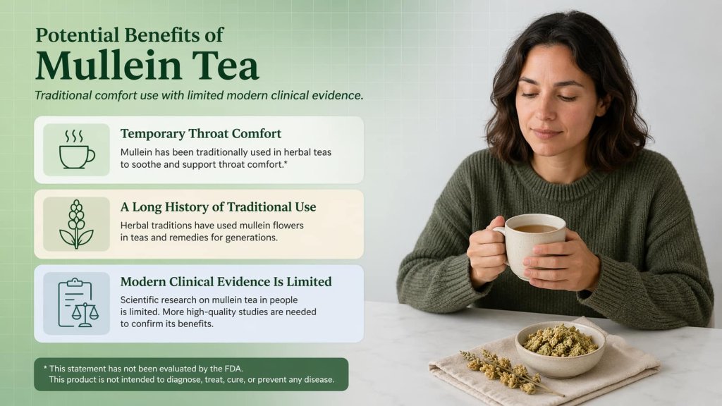 Potential Benefits of Mullein Tea