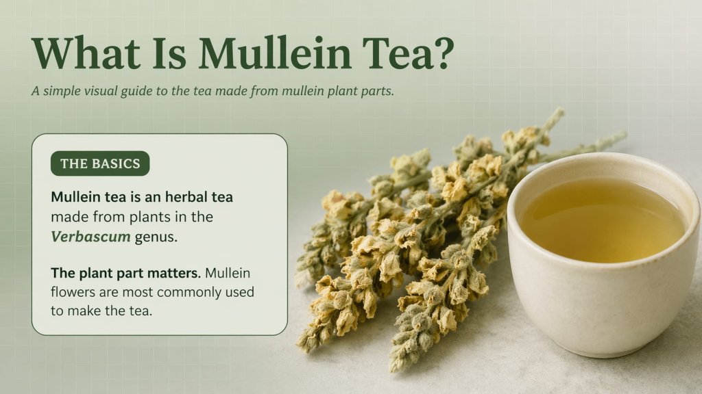 What Is Mullein Tea?