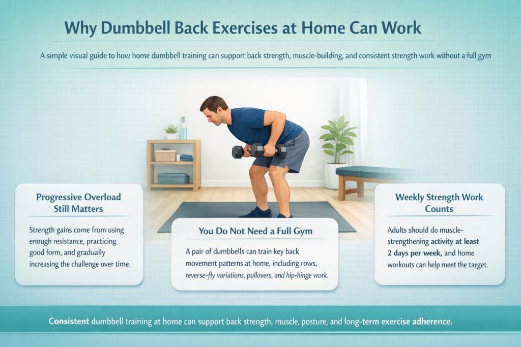 Why dumbbell back exercises at home can work