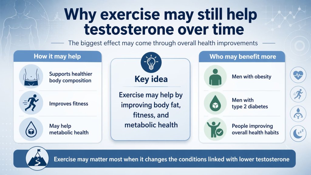 Why exercise may still help testosterone over time