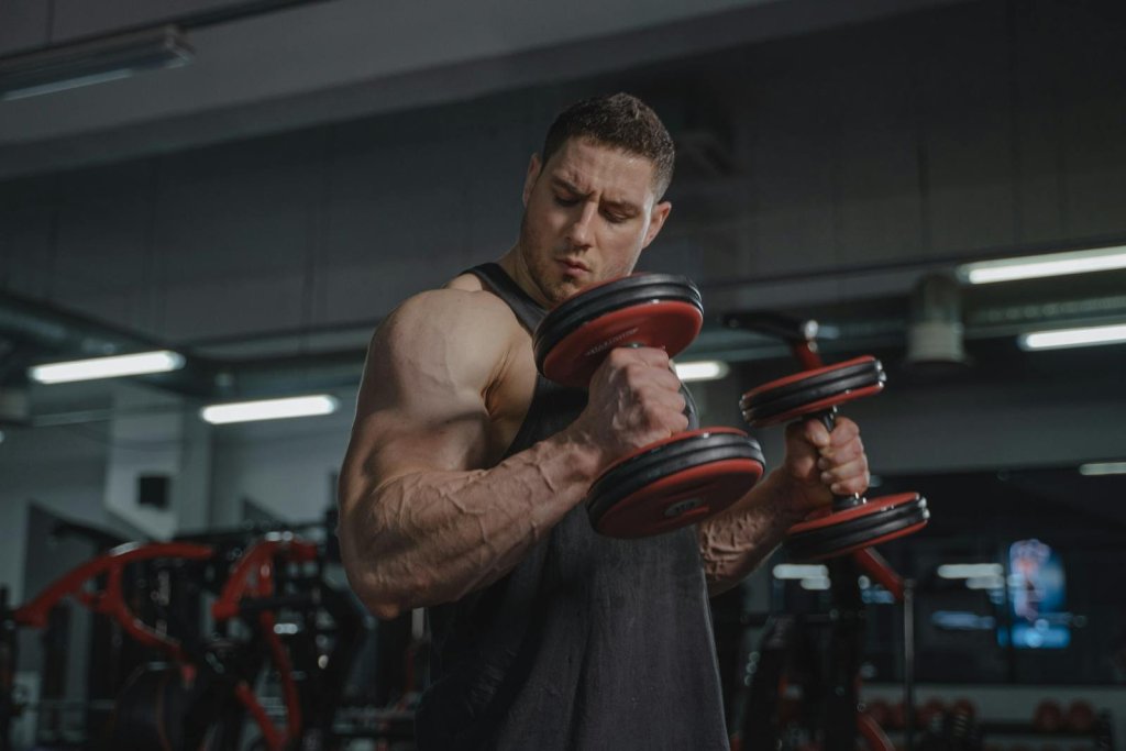What Are Hammer Curls?