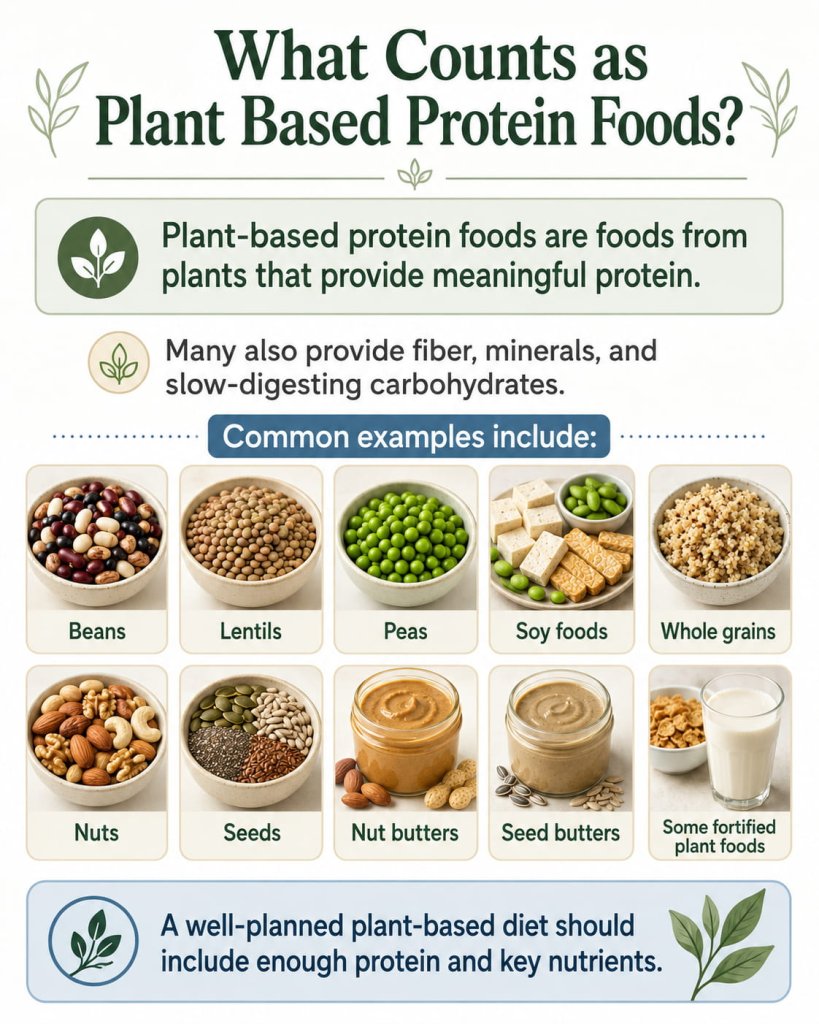 What Counts as Plant Based Protein Foods?