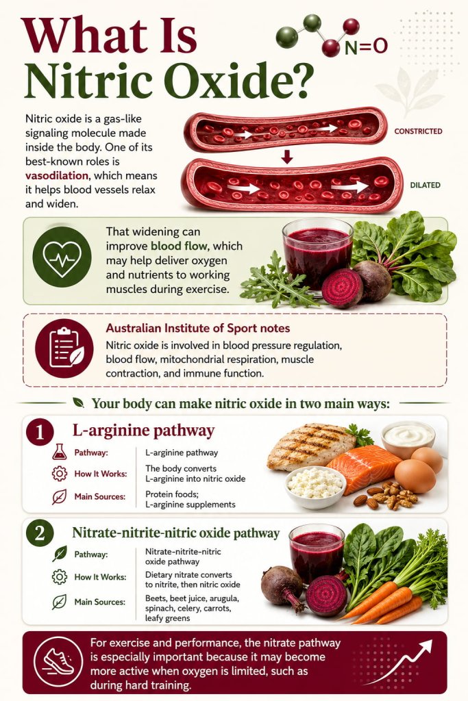What Is Nitric Oxide?