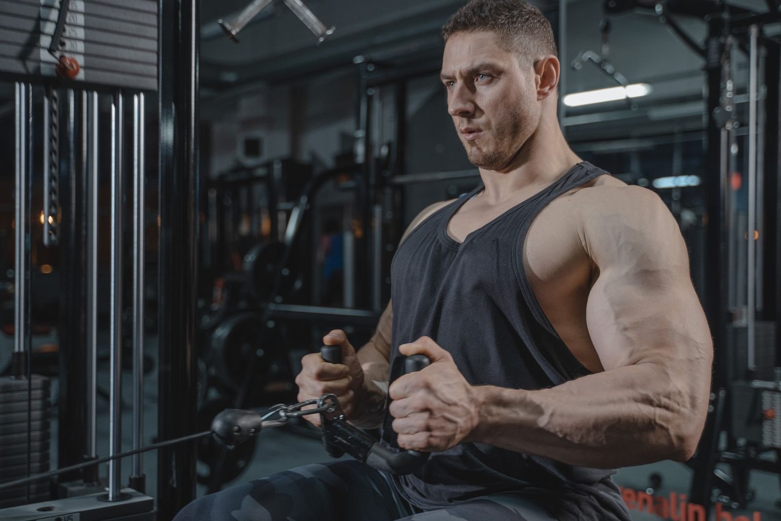 9 Best Chest Supported Row Alternatives for Back Strength
